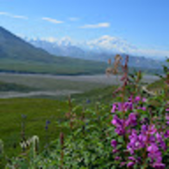 Meet your Posher, Alicia - Picture 1 of 1